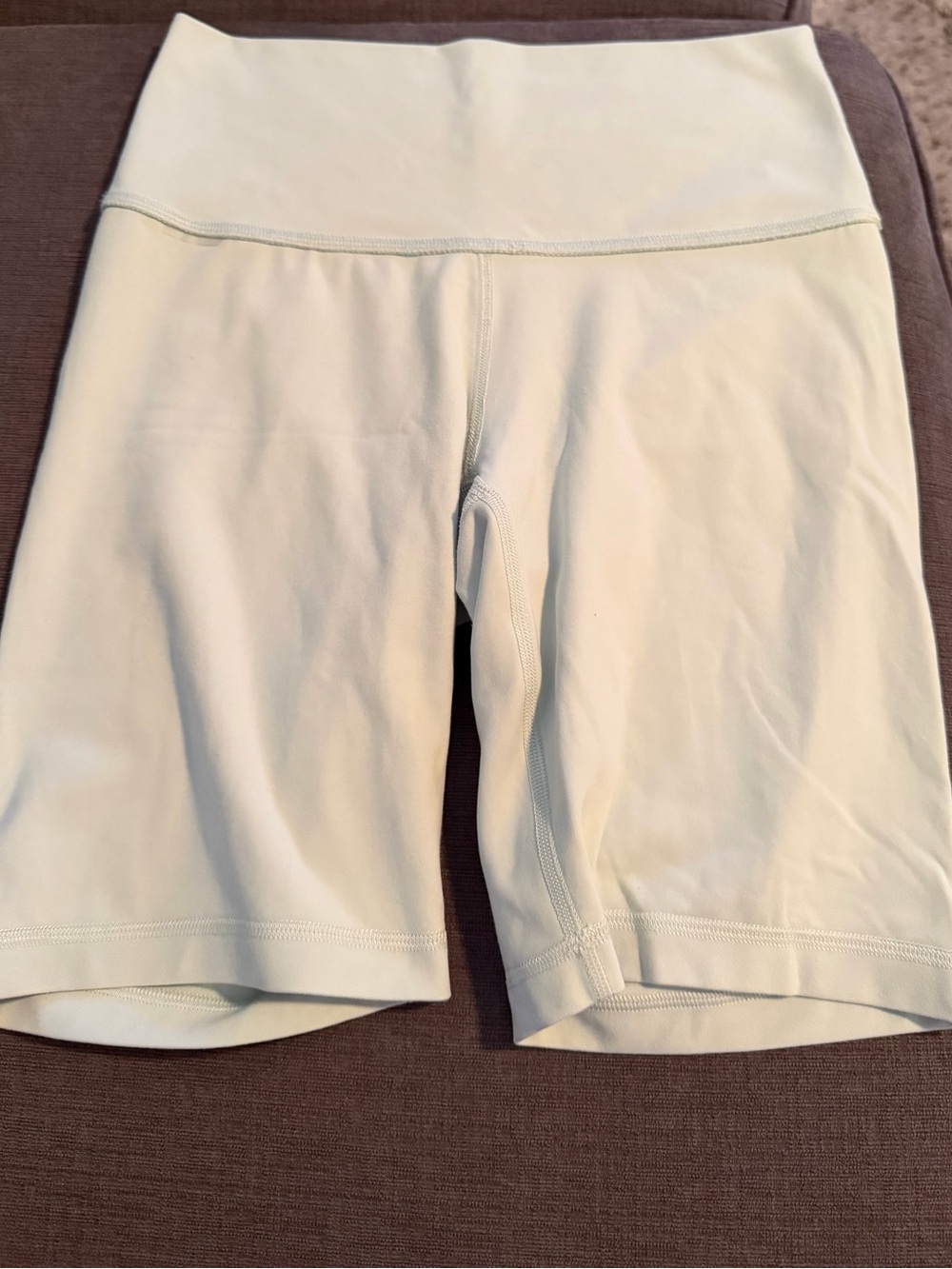Aritzia High-Waist Athletic Bike Shorts in Light Mint